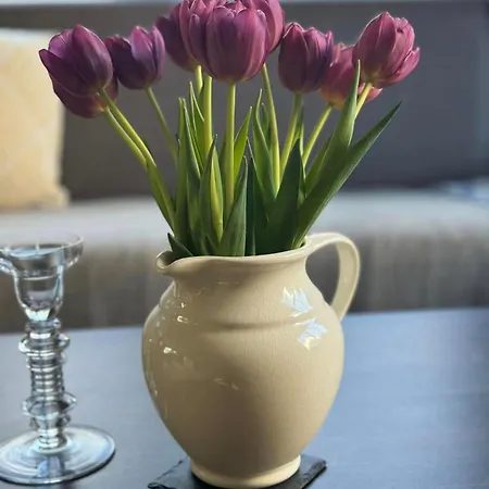 Holiday home Mina Bad Bentheim