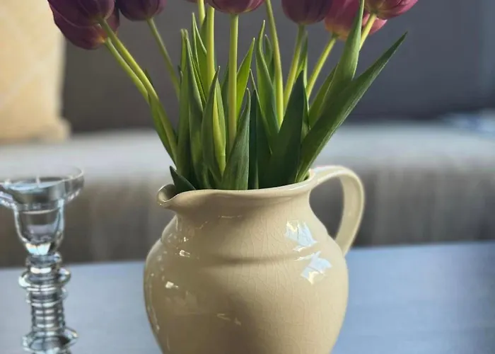 Nyaraló Mina Bad Bentheim